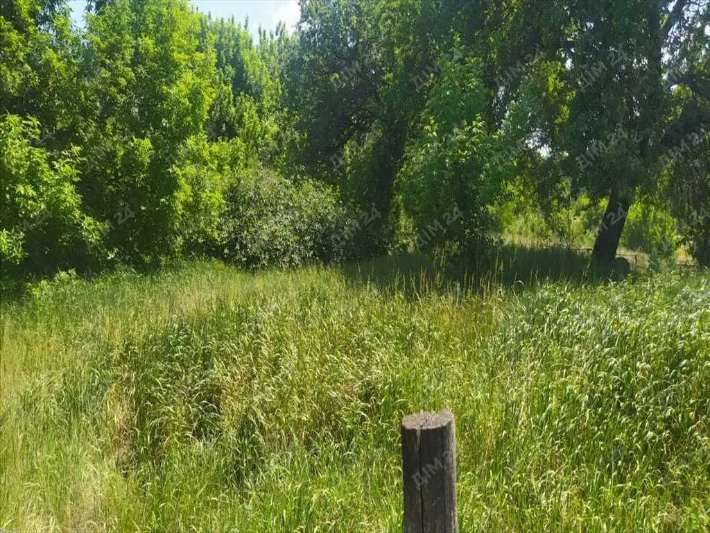 Ділянка під забудову. Село Безручки